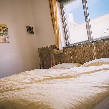 Homestay Surf Shack *
